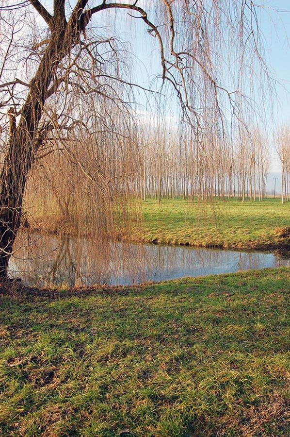 Il Broletto B&B Novara Exteriér fotografie